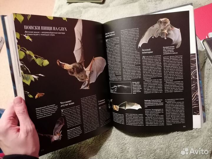 Книга Секреты природы, Ридерз дайджест, 1999