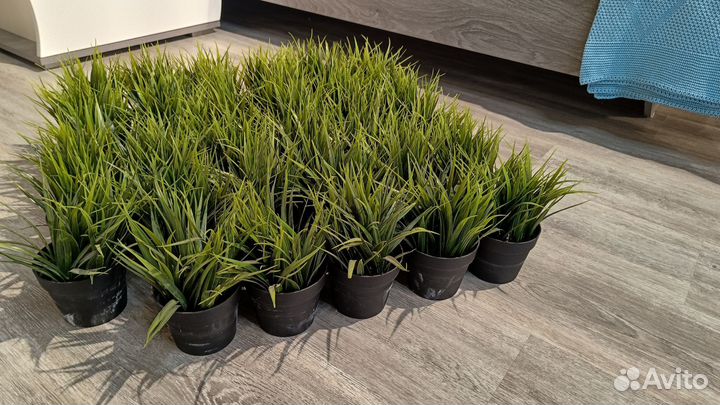 Искусственные растения, фейка