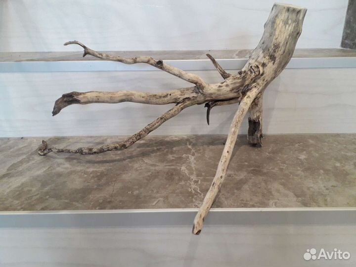 Коряга в аквариум/террариум или для интерьера