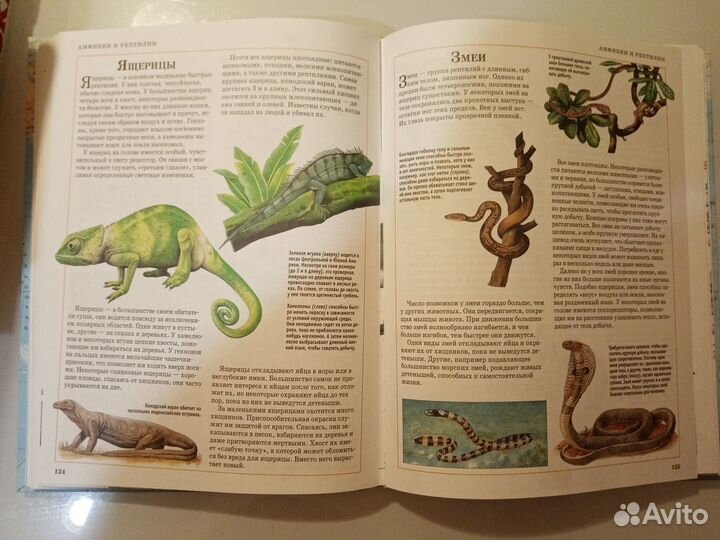 Иллюстрированная энциклопедия школьника