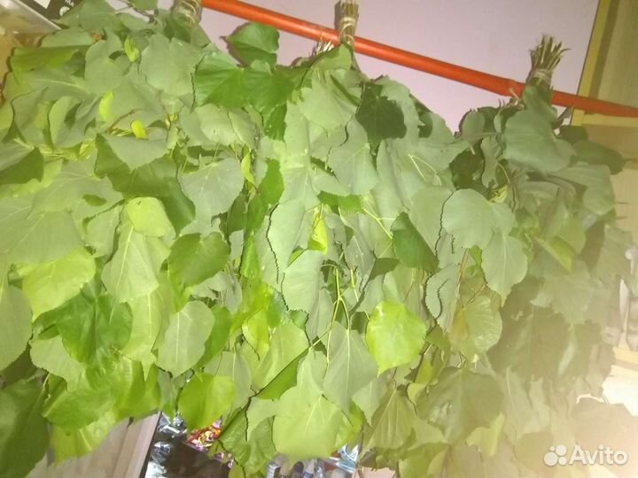 Веники берёзовые, липовые,дубовые