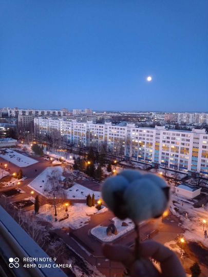 Комната 20,2 м² в 2-к., 14/14 эт.