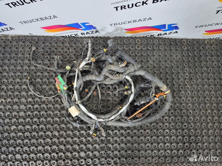 Электропроводка двигателя Iveco Stralis