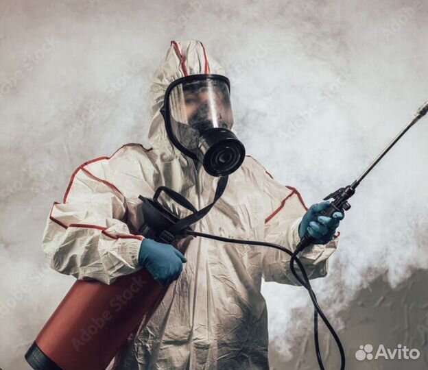 Дезинфектор зп день в день