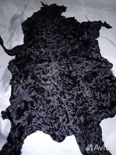 Шкуры Каракульча