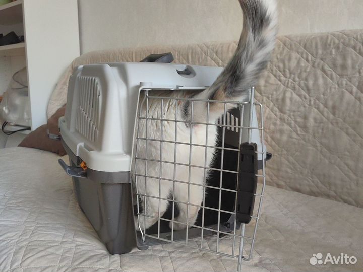 Переноска skudo 2