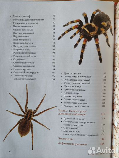 Энциклопедия 