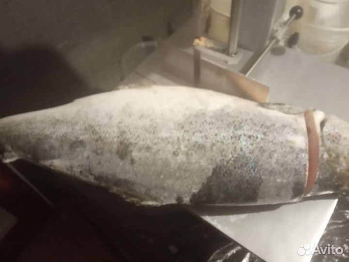 Рыба под заказ