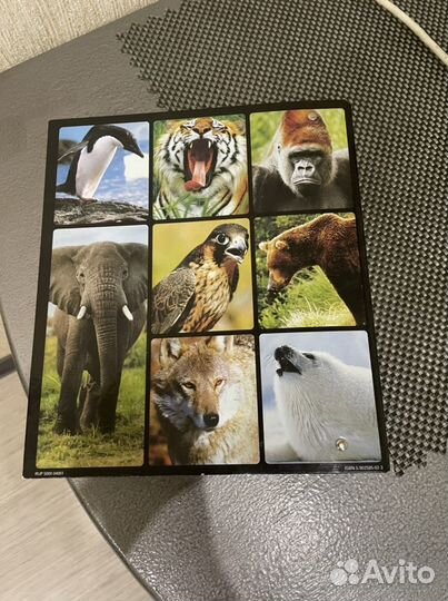 Энциклопедия в мире дикой природы