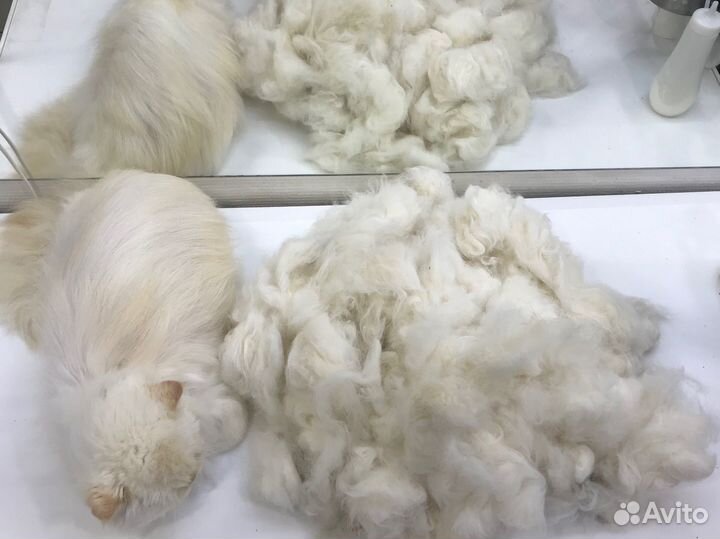 Груминг кошек и мелких/средних собак