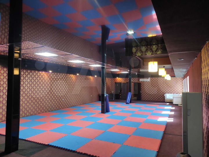 Спортивный, тренажерный зал (свободного назначения