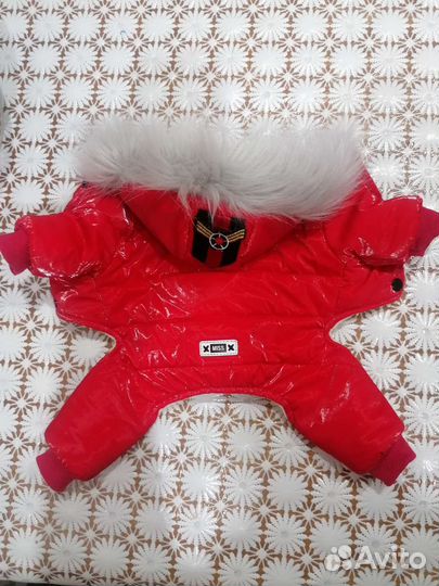 Комбинезон для щенка