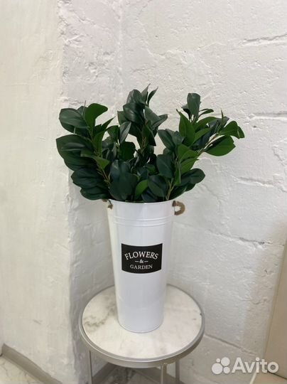 Ветка лимона