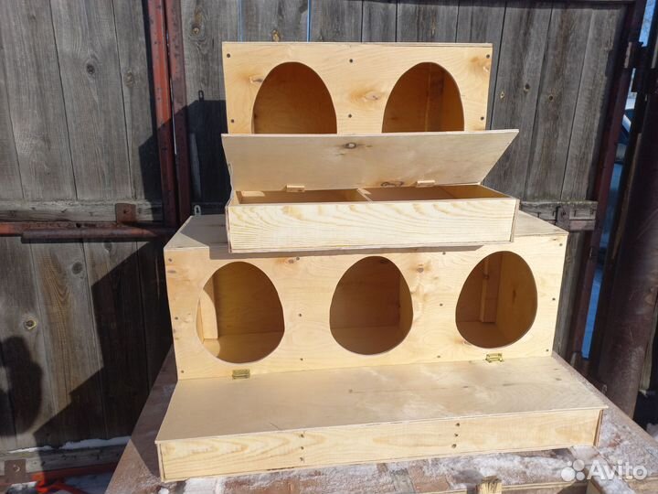 Гнездо для кур с яйцесборником