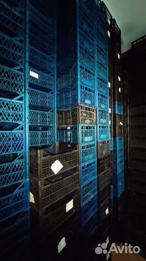 Пластиковые корзинки, ящики