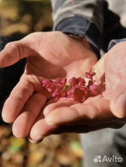 Мастер на все руки-Мастер на час-Муж на час