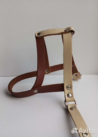 Ошейники, шлейка, светящийся маячок для собак