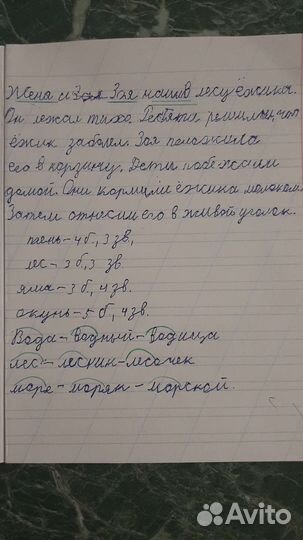 Репетитор 1-5 классы