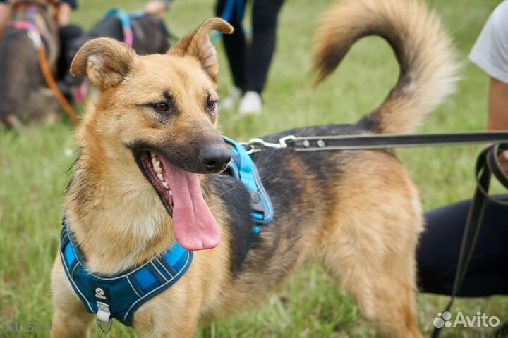 Прикольнейший мальчишка очень хочет домой