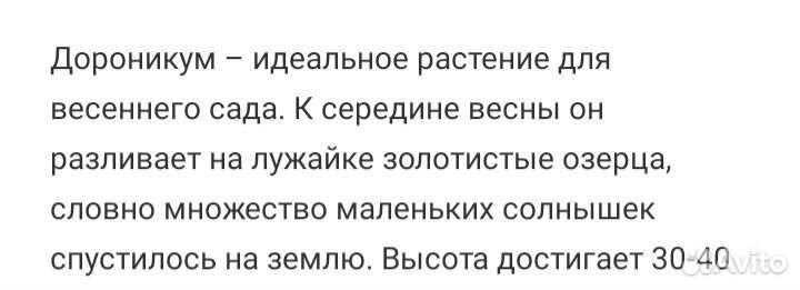 Дороникум многолетний