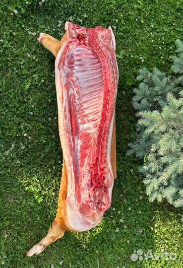 Полутуши высшего сорта