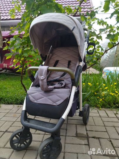 Прогулочная коляска rant vega
