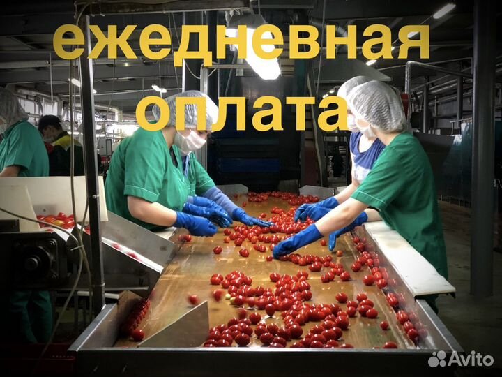 Работник на консервный завод