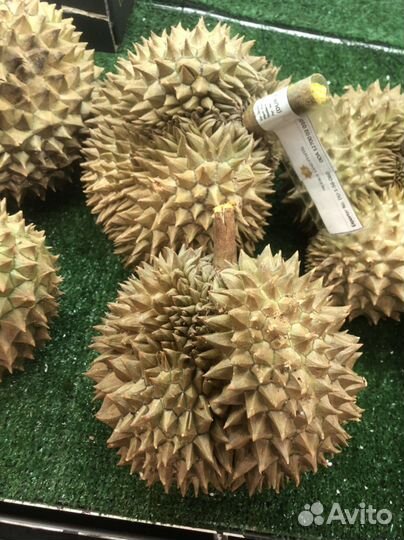 Дуриан