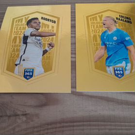 Наклейки panini fifa 365 2024