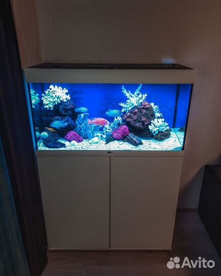 Обслуживание аквариумов