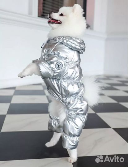 Комбинезон костюм для собак