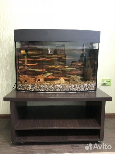 Аквариум с тумбой
