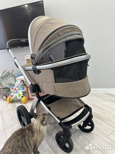 Коляска anex l type 2 в 1