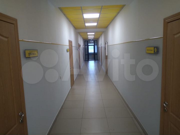 Офис, 14,3 и 15.8 м²