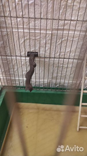 Клетка для попугая