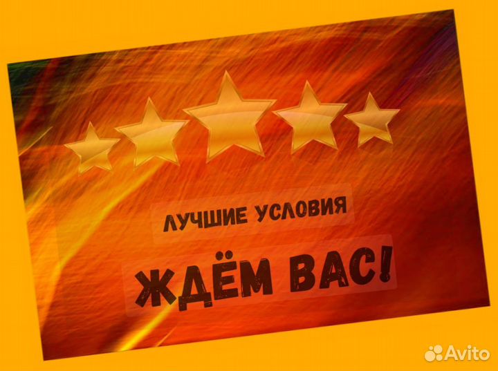 Сборщик Выплаты еженедельно Без опыта М/Ж