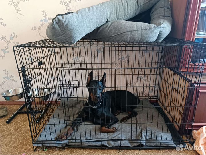 Клетка для собак