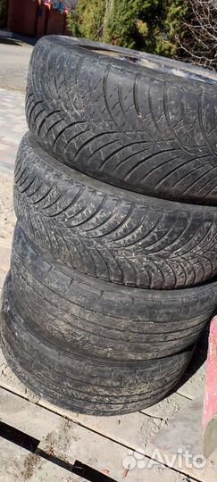 Dunlop Direzza DZ102 205/55 R16 91