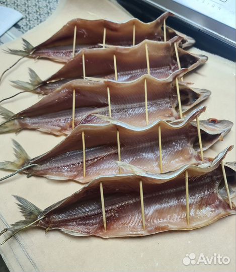 Байкальская рыба