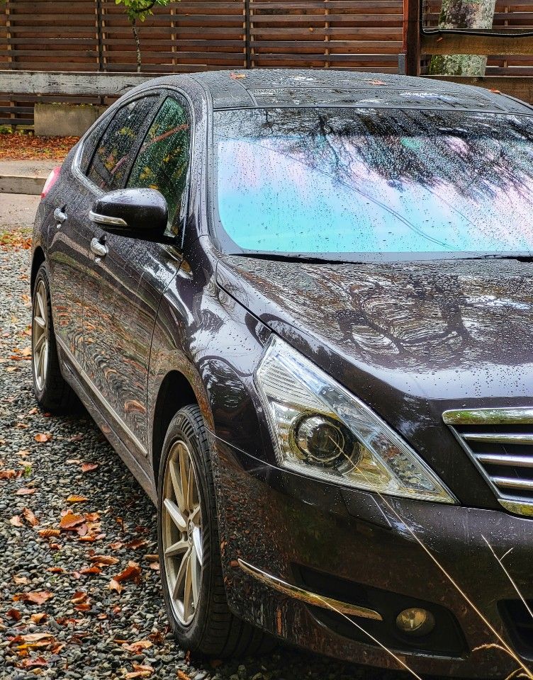 Nissan Teana: фото владельца