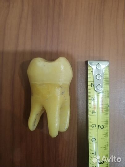 Пластмассовый зуб(верхний моляр)