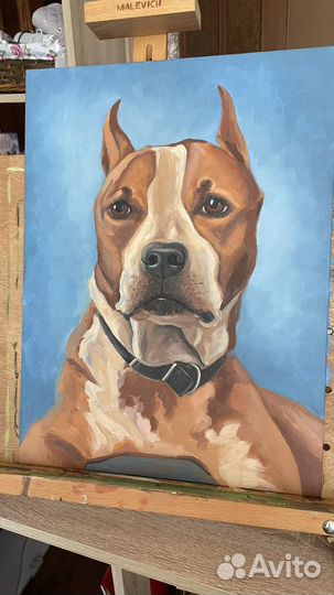 Портрет питомца маслом на заказ