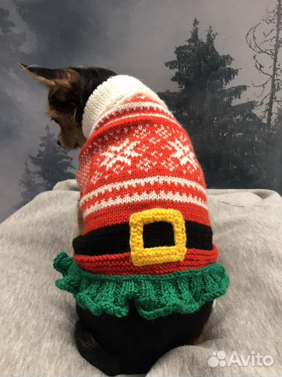 Одежда для собак