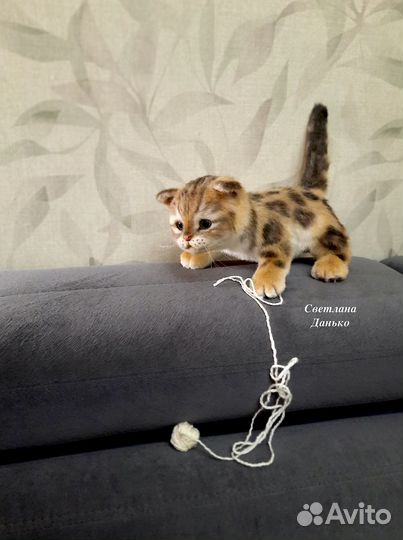 Котята, игрушки ручной работы