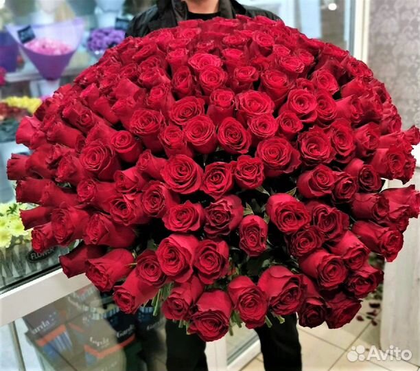 101/51/25/15 Роза Эквадор 60см, цветы