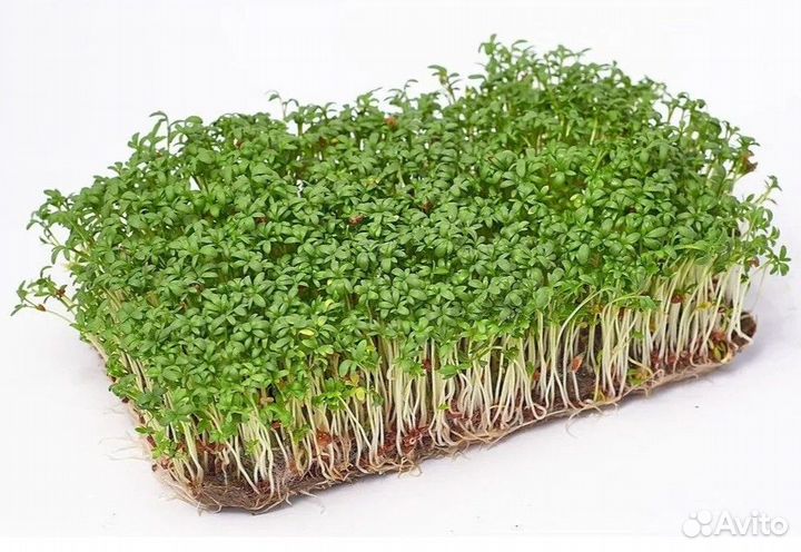 Коврики для микрозелени джутовые 10 шт, 15*10 см