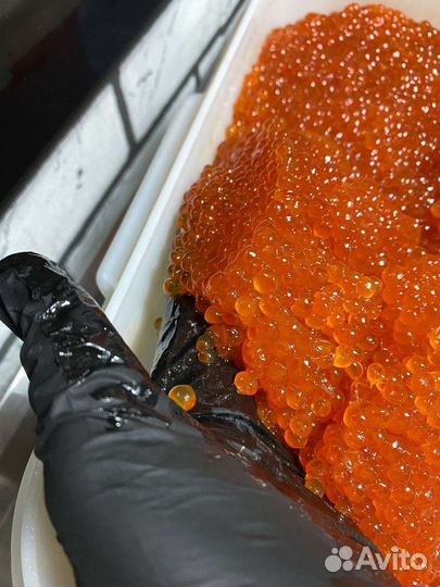 Икра горбуши, форели