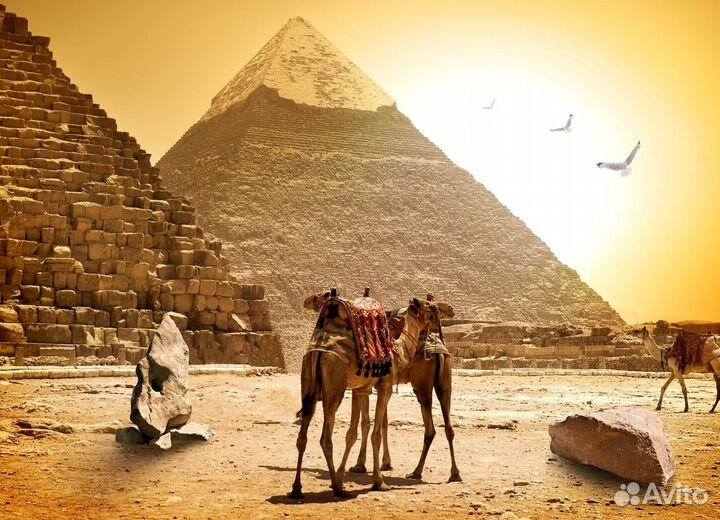 Эксклюзив-тур в Египет 6 ночей