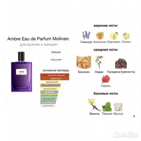 Molinard patchouli, cuir, amber