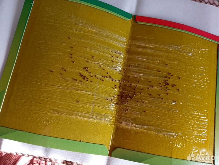 Клеевая ловушка от грызунов